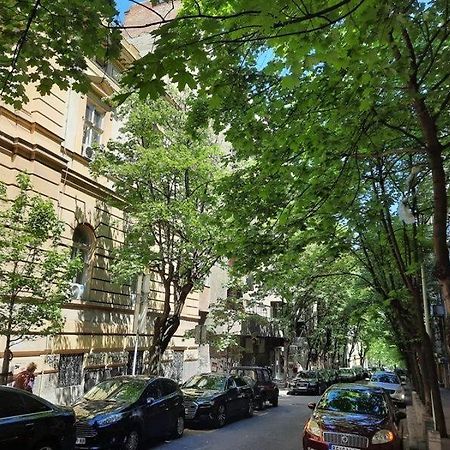 Apartment 51 - Bright, Spacious, Lux 1 Bedroom In The City Center - Stari Grad Belgrado Exterior foto